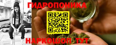 бошки Кимры