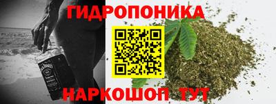 jwh Кингисепп
