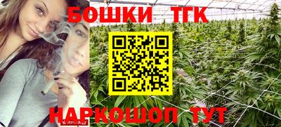 jwh Кингисепп