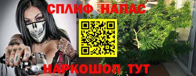 jwh Кингисепп